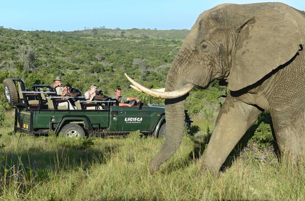 Kariega Game Reserve Settlers Drift Alexandria  ภายนอก รูปภาพ