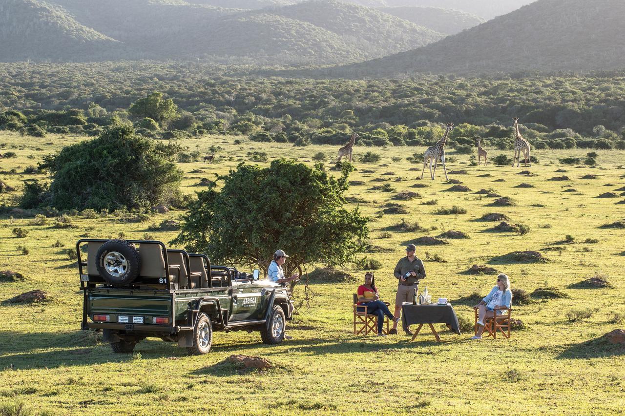 Kariega Game Reserve Settlers Drift Alexandria  ภายนอก รูปภาพ